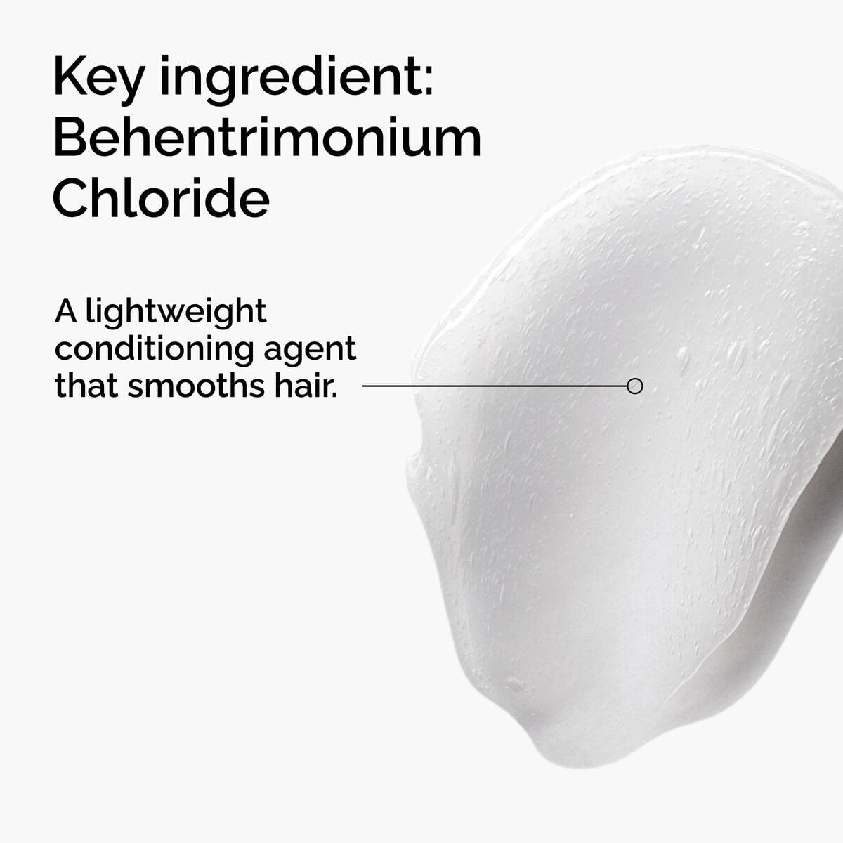 behentrimonium-chloride-2-conditioner-y1 FY25-D41247-ORD-Web-PDP-BTC-1x1-EN-2a.jpg