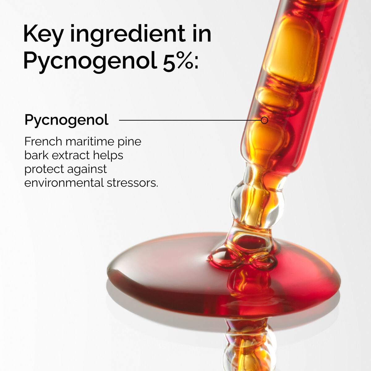 pycnogenol-5-o8 FY25-D41247-ORD-Web-PDP-Pyc-5pct-1x1-EN-2a.jpg