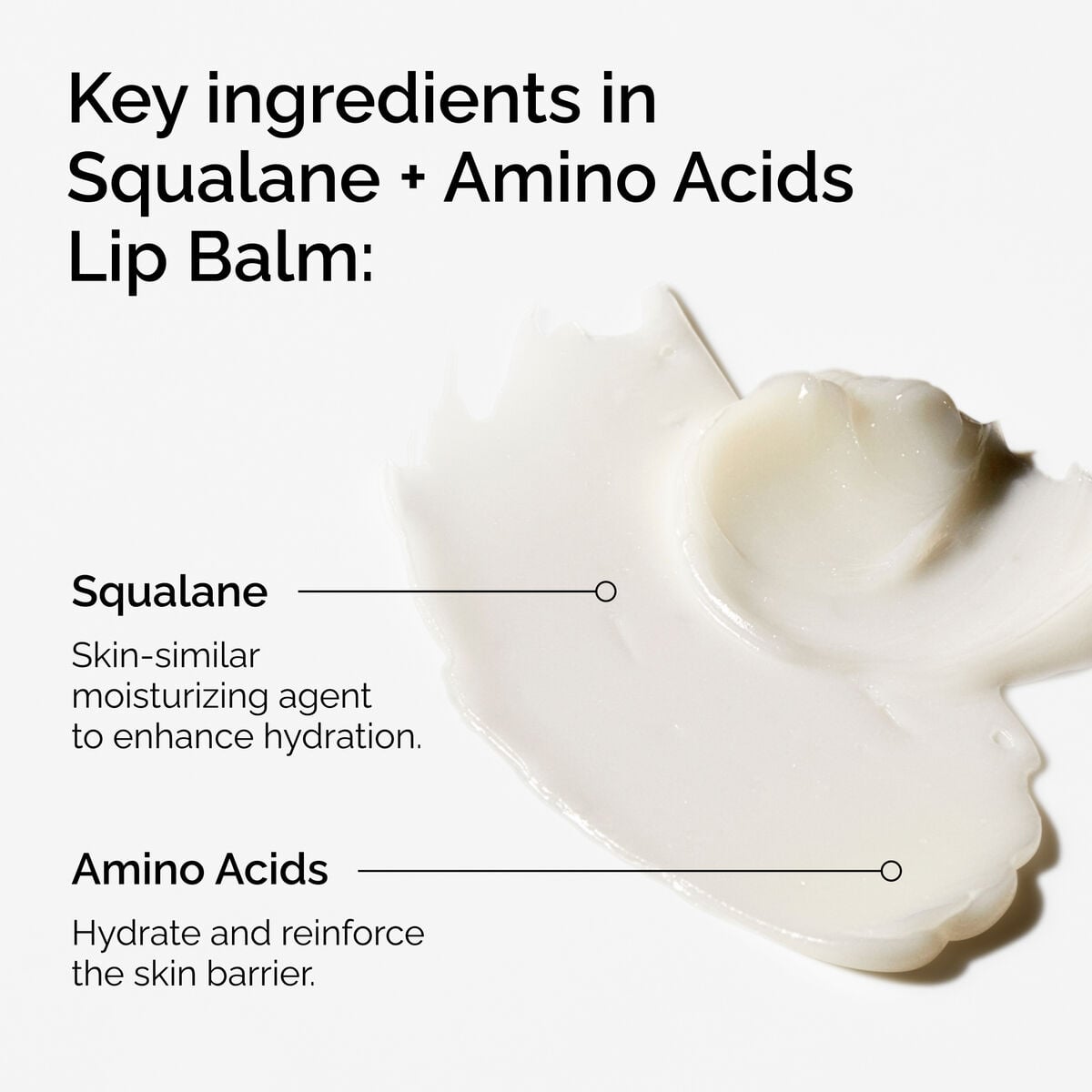 squalane-amino-acids-lip-balm-v2 FY25-D41247-ORD-Web-PDP-Sql-Amino-Lip-1x1-EN-2a.jpg