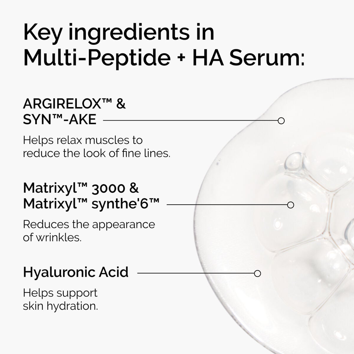 the-age-support-set-g6 ord-multi-peptide-ha-ingredients-graphic.jpg